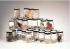 Animal Kingdom Sets: Acoelomates and General Specimens 3