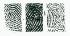 Ward's® Fingerprint Types Slide Set