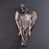Preserved Pigeon