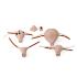 Replacement Uteri Set