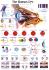 Rudiger Human Systems Charts
