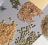 Seed Set Seven Types