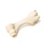 Mammal Humerus Bones