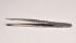 Tissue Forceps With Teeth