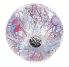 Clever Catch® Science Education Balls 