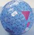 Clever Catch® Science Education Balls 