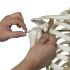 3B Scientific® Rod Mount Skeleton