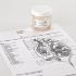 Ward's® Live Water Fleas (<i>Daphnia magna</i>)