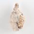 Plastinated Biological Specimens - Whole Sheep Brain