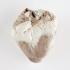 Plastinated Biological Specimens - Whole Sheep Heart