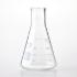 Economy Erlenmeyer Flasks