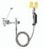 Eyewash System® Combination Eyewash/Sink Faucet, Speakman®
