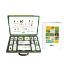Insects 16 Piece Set