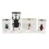 Realbug Kids: Insect Embedment Set