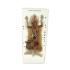 Rabbit Dissection