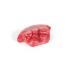 Pharmabiotics® Clinical Breast Simulator