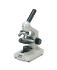 Boreal Science Compound Beginner Microscopes