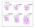 Amino Acids, Set of 20