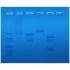 Restriction enzyme mapping