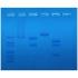 Restriction enzyme mapping