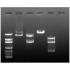 Restriction enzyme mapping (dark)