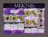 Cells: Structure, Function and Processes Posters