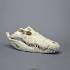 Nile Crocodile Skull