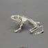 Goliath Frog Skeleton, Articulated