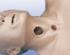 Life/form® Tracheotomy Care Simulator