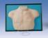 Venous Access Device Model