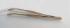 Coverslip Forceps