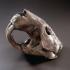 BoneClones® Giant Fossil Beaver Skull, Tarpit Finish