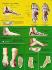 3B Scientific® Foot Chart
