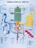 3B Scientific® Human Metabolic Chart
