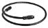 Extension Cable