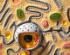 Plant cell model