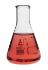 Erlenmeyer flask, 100 ml