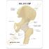 GPI Anatomicals® Basic Hip Model