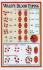 Ward's® Blood Typing Poster