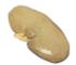 Pure Preserved Pig Kidney